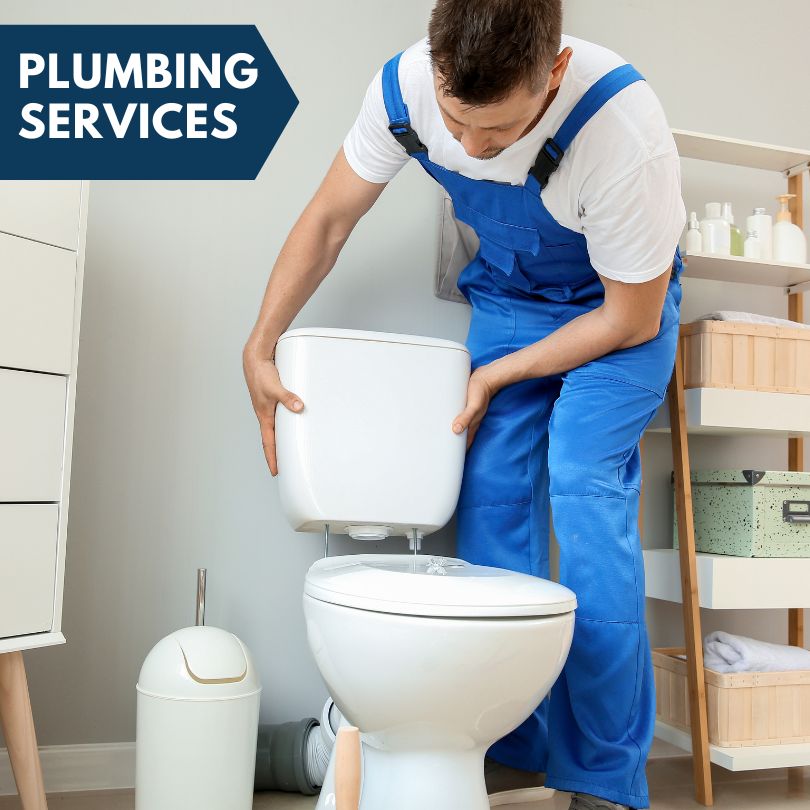 Plumbing Company in Kathleen, FL